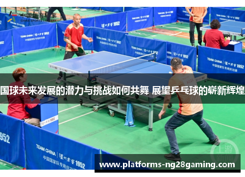 国球未来发展的潜力与挑战如何共舞 展望乒乓球的崭新辉煌