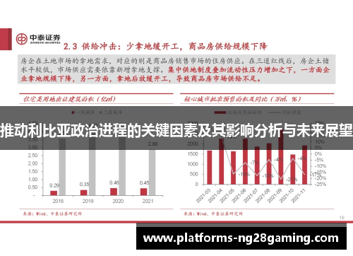 推动利比亚政治进程的关键因素及其影响分析与未来展望