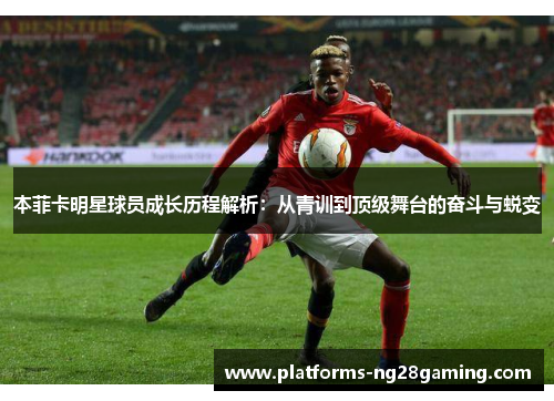 本菲卡明星球员成长历程解析：从青训到顶级舞台的奋斗与蜕变