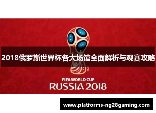2018俄罗斯世界杯各大场馆全面解析与观赛攻略