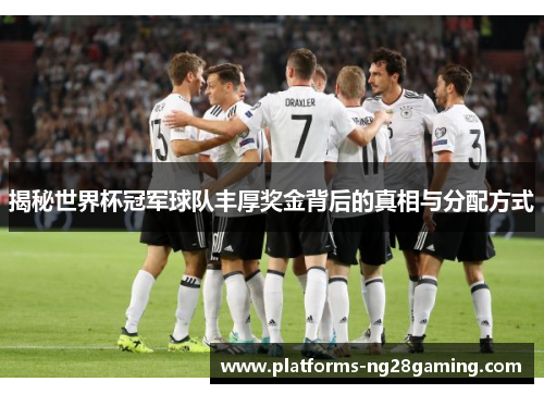 揭秘世界杯冠军球队丰厚奖金背后的真相与分配方式