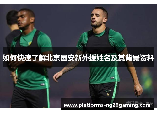如何快速了解北京国安新外援姓名及其背景资料