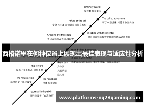 西格诺里在何种位置上展现出最佳表现与适应性分析