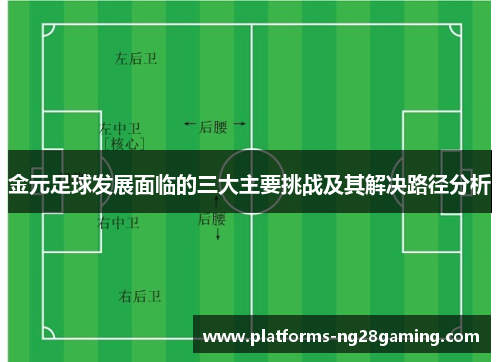 金元足球发展面临的三大主要挑战及其解决路径分析