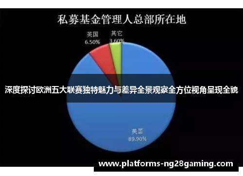 深度探讨欧洲五大联赛独特魅力与差异全景观察全方位视角呈现全貌