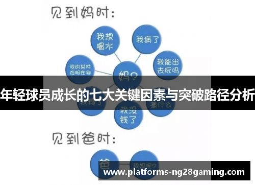 年轻球员成长的七大关键因素与突破路径分析 年轻球员成长的七大关键因素与突破路径分析