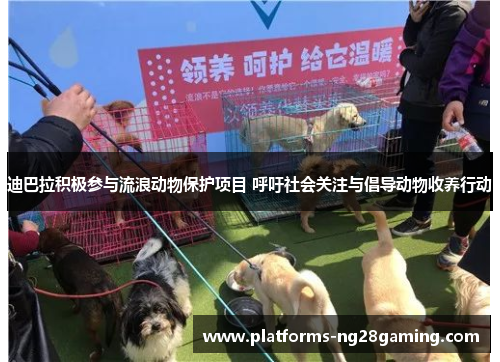 迪巴拉积极参与流浪动物保护项目 呼吁社会关注与倡导动物收养行动 迪巴拉积极参与流浪动物保护项目 呼吁社会关注与倡导动物收养行动