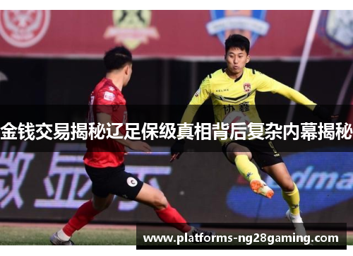 金钱交易揭秘辽足保级真相背后复杂内幕揭秘 金钱交易揭秘辽足保级真相背后复杂内幕揭秘