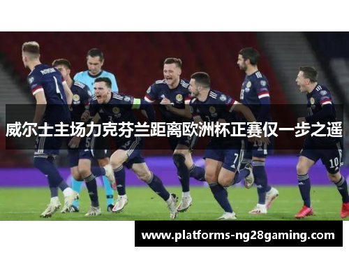 威尔士主场力克芬兰距离欧洲杯正赛仅一步之遥 威尔士主场力克芬兰距离欧洲杯正赛仅一步之遥